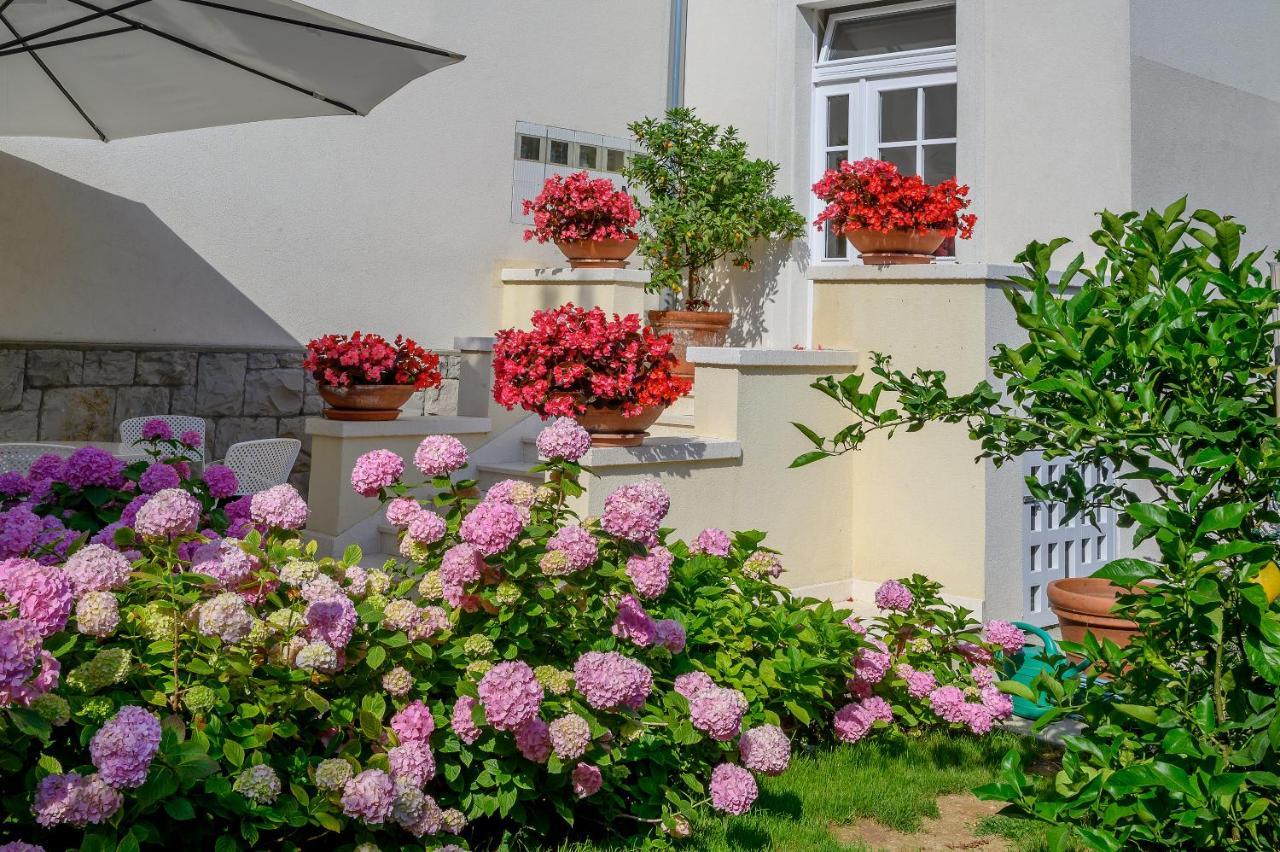 Palace Schoen Milesi - Esense Of Prestige - Private Pool - Free Parking - Old Money Style Luxury Rooms - Walking Distance To The Old Town, The Beach And All Amenities - Buralux Properties Split Eksteriør bilde